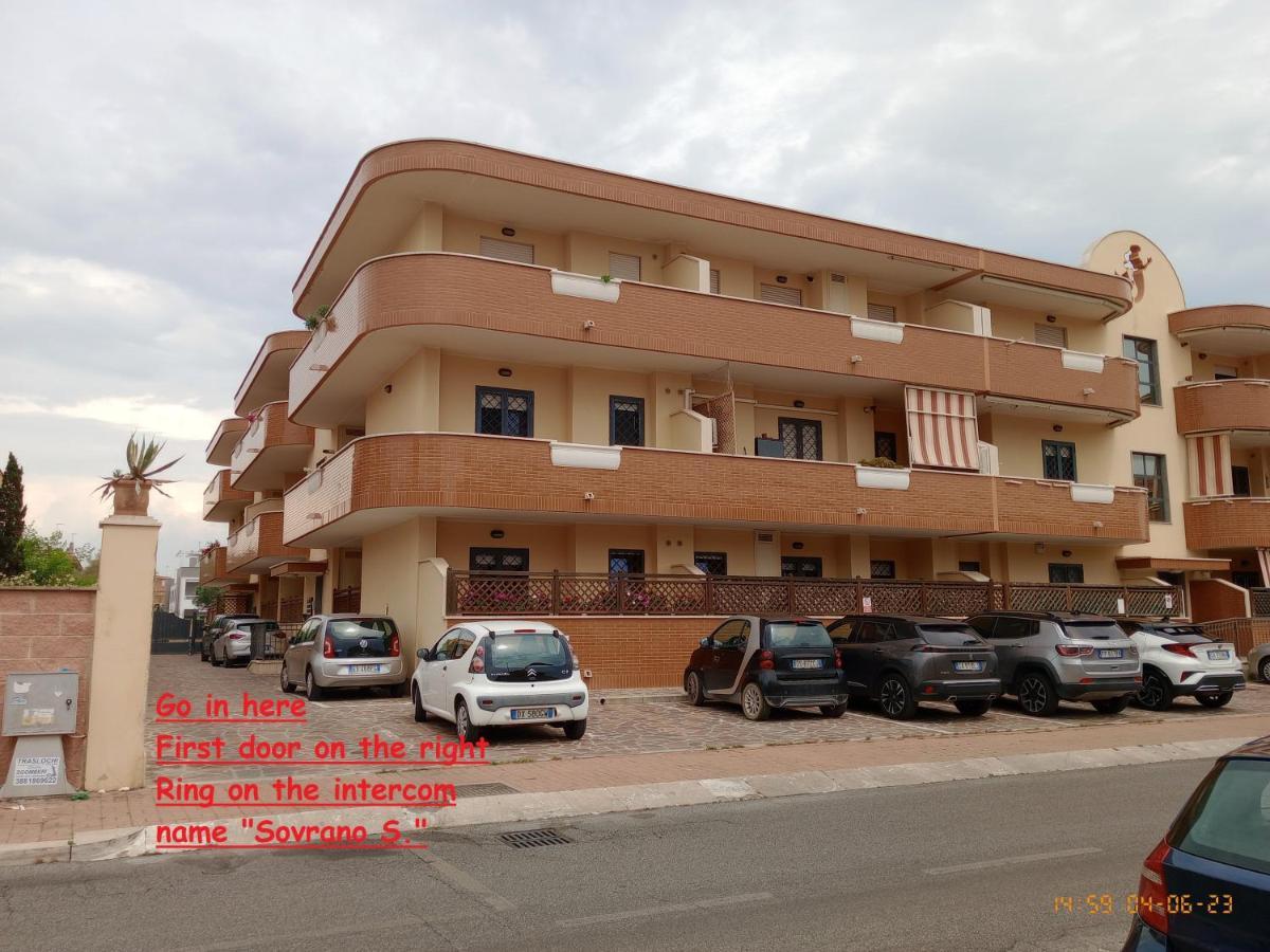 Summer&Winter Home By The Sea Fiumicino Luaran gambar